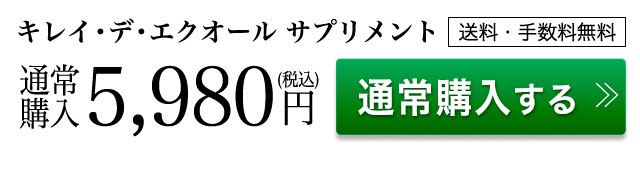 通常価格で申し込む