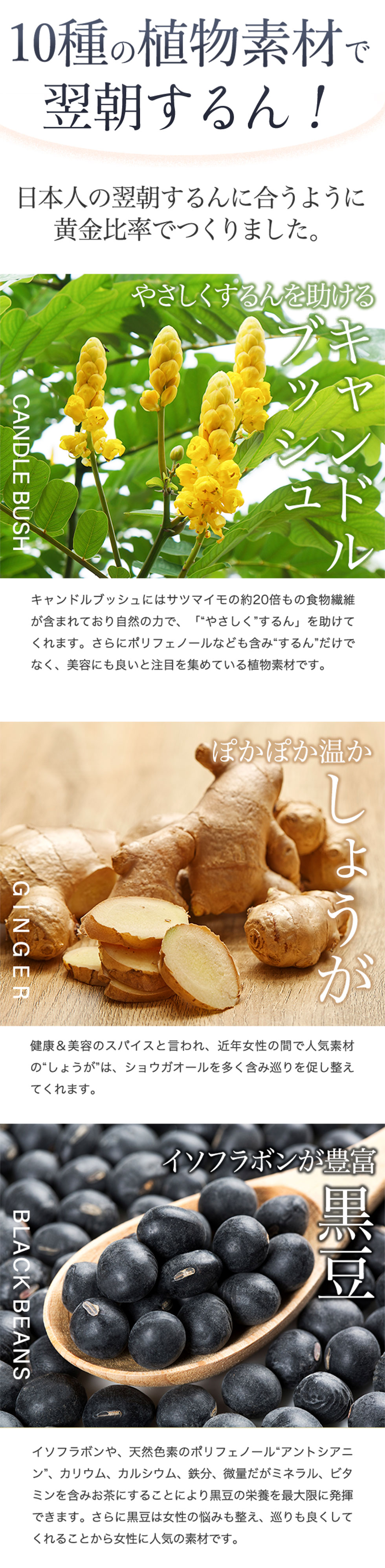 キレイ・デ・スリムティー -綺麗爽快茶-